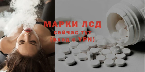 стаф Магас