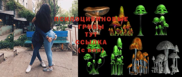 стаф Магас