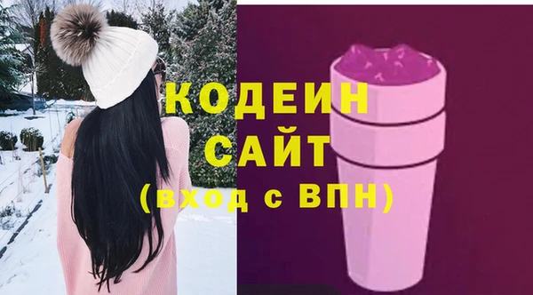 стаф Магас