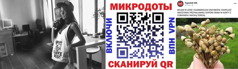 Галлюциногенные грибы GOLDEN TEACHER  Смоленск 