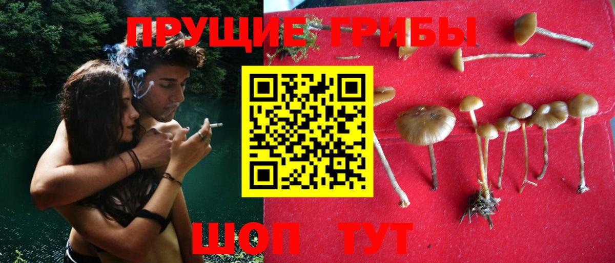 Галлюциногенные грибы прущие грибы  Галлюциногенные грибы Psilocybe  Смоленск  Вход с VPN 